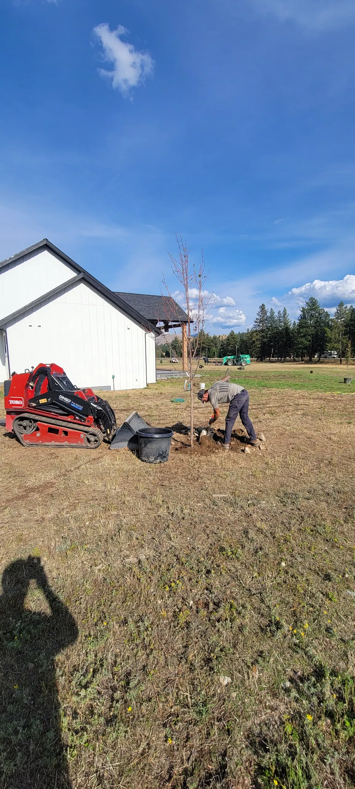 Our crew planting a tree beside a new home with a compact track loader